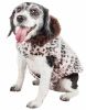 Pet Life  Luxe 'Furracious' Cheetah Patterned Mink Dog Coat Jacket