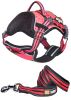 Helios Dog Chest Compression Pet Harness and Leash Combo