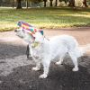 Pet Life  'Colorfur' Floral Uv Protectant Adjustable Fashion Dog Hat Cap