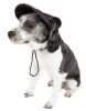 Pet Life  'Cap-Tivating' Uv Protectant Adjustable Fashion Dog Hat Cap