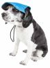 Pet Life  'Cap-Tivating' Uv Protectant Adjustable Fashion Dog Hat Cap