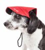 Pet Life  'Cap-Tivating' Uv Protectant Adjustable Fashion Dog Hat Cap